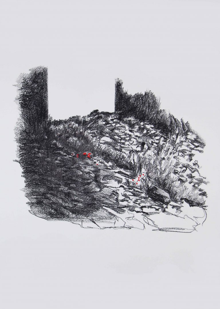 Lithographic pencil and
watercolor on paper
59,4 cm x 42 cm