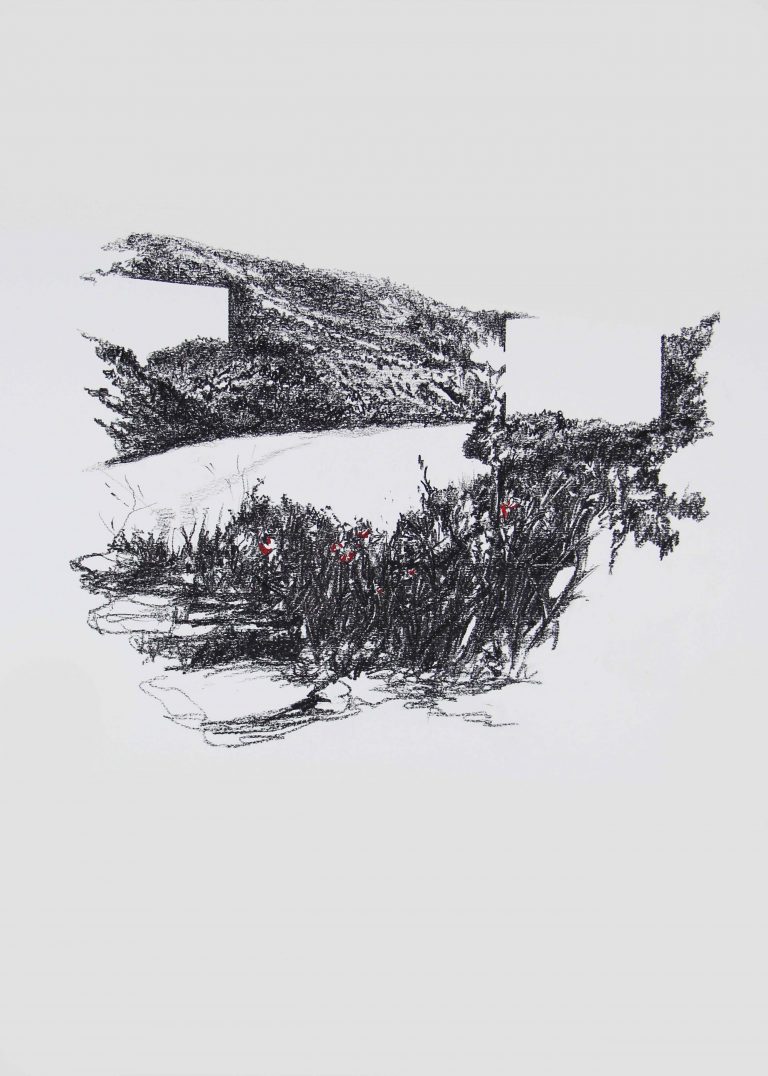 Lithographic pencil and
watercolor on paper
59,4 cm x 42 cm